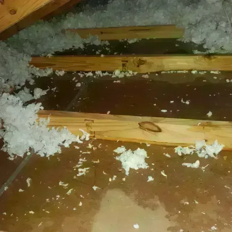 Attic Water Damage in Doddridge County, WV